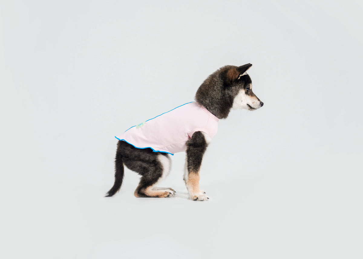 Cool-Touch UV Protection Vest for dogs – product photo 4, kawaii pet apparel by kuwoof