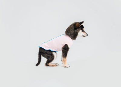 Cool-Touch UV Protection Vest for dogs – product photo 4, kawaii pet apparel by kuwoof