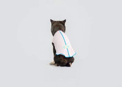 Cool-Touch UV Protection Vest for dogs – product photo 5, kawaii pet apparel by kuwoof