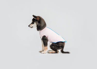 Cool-Touch UV Protection Vest for dogs – product photo 6, kawaii pet apparel by kuwoof