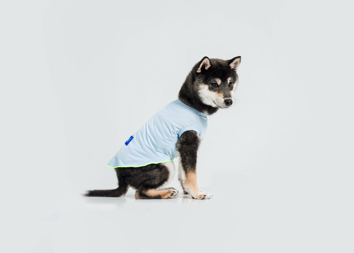 Cool-Touch UV Protection Vest for dogs – product photo 9, kawaii pet apparel by kuwoof