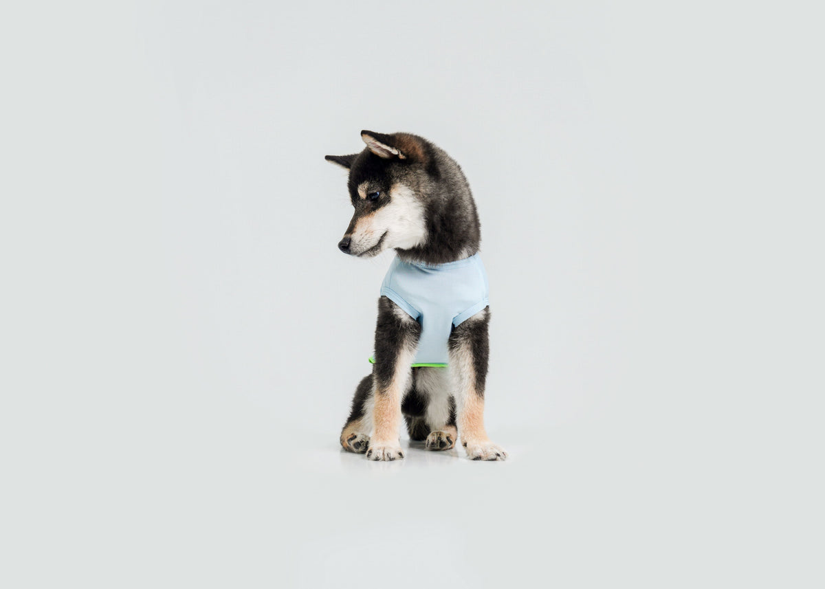 Cool-Touch UV Protection Vest for dogs – product photo 11, kawaii pet apparel by kuwoof