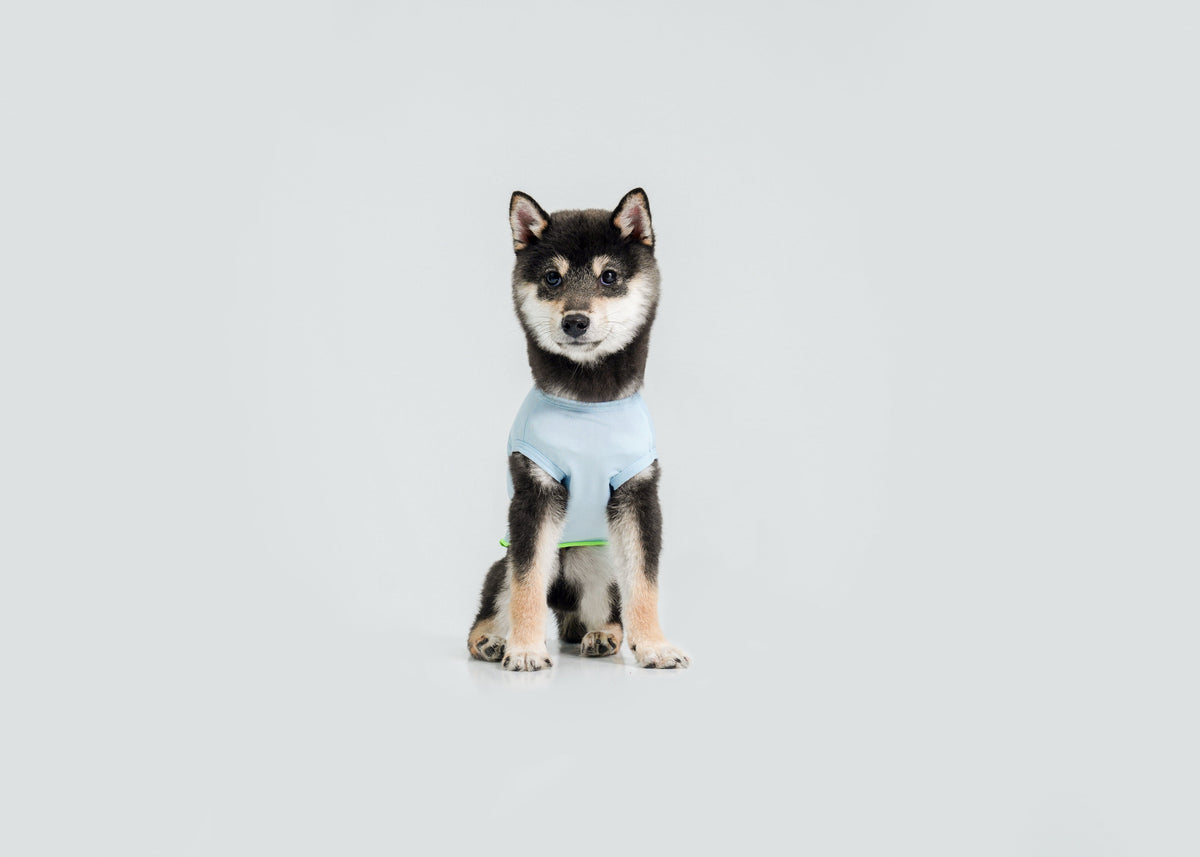Cool-Touch UV Protection Vest for dogs – product photo 12, kawaii pet apparel by kuwoof