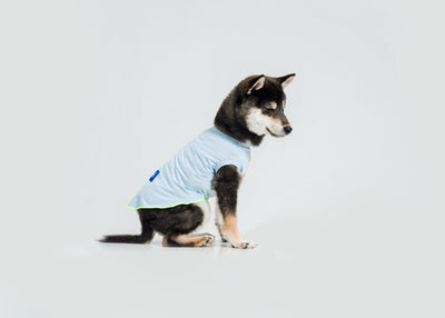 Cool-Touch UV Protection Vest for dogs – product photo 13, kawaii pet apparel by kuwoof