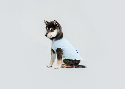 Cool-Touch UV Protection Vest for dogs – product photo 14, kawaii pet apparel by kuwoof