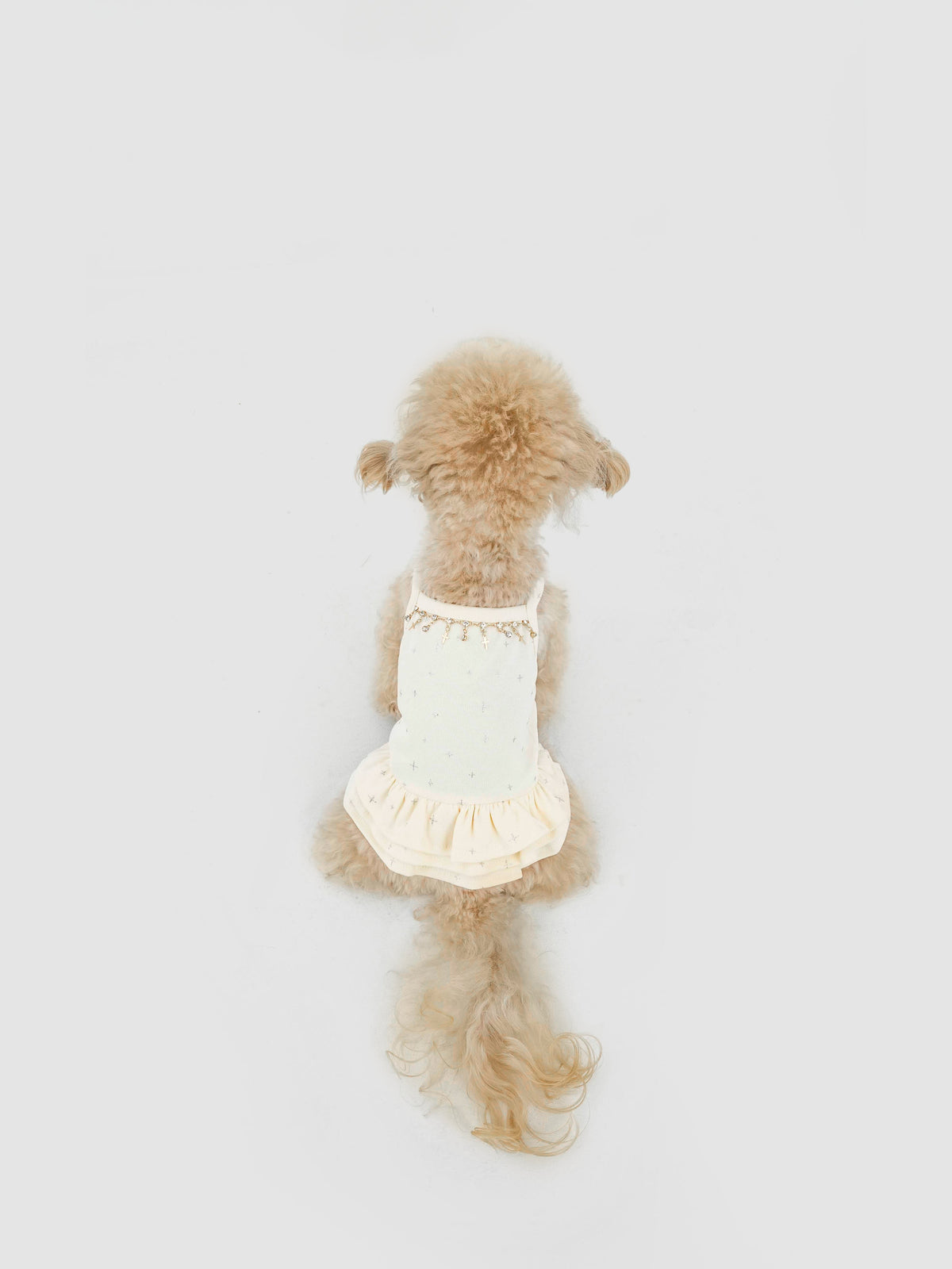 Cream Nebula dog dress – product photo 2, kawaii pet apparel by kuwoof