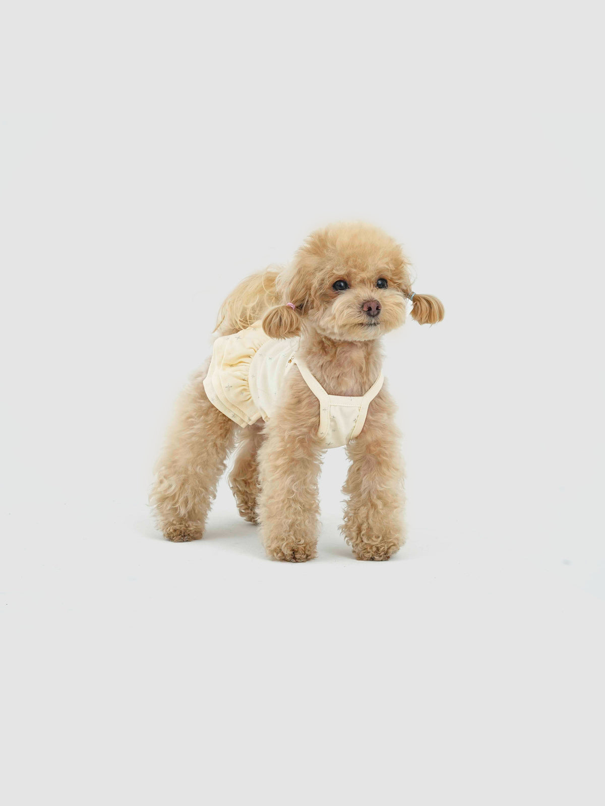 Cream Nebula dog dress – product photo 4, kawaii pet apparel by kuwoof