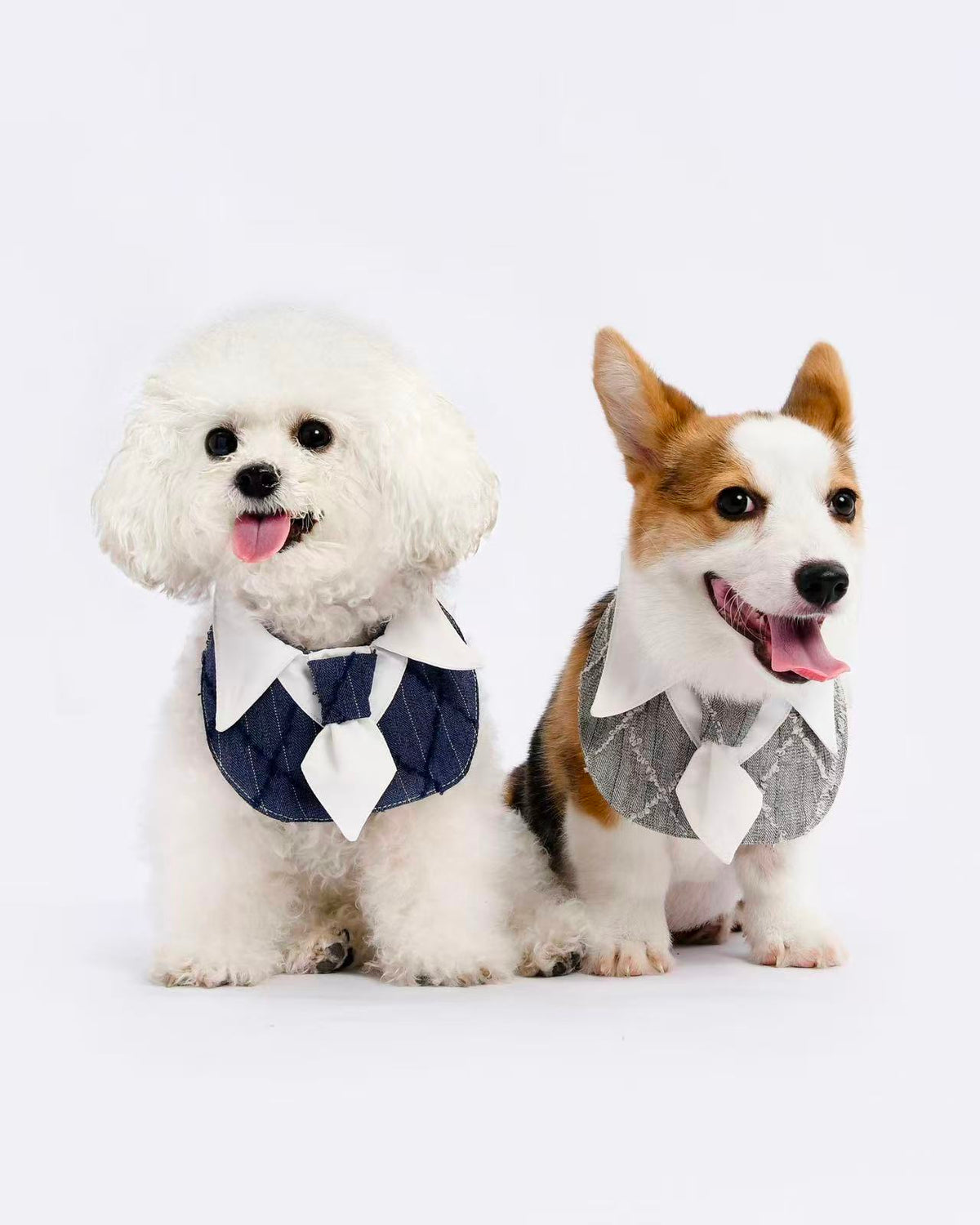 Dapper Pup Tie Bib – front view, kawaii pet apparel by kuwoof