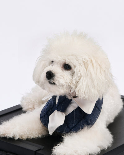 Dapper Pup Tie Bib – product photo 8, kawaii pet apparel by kuwoof