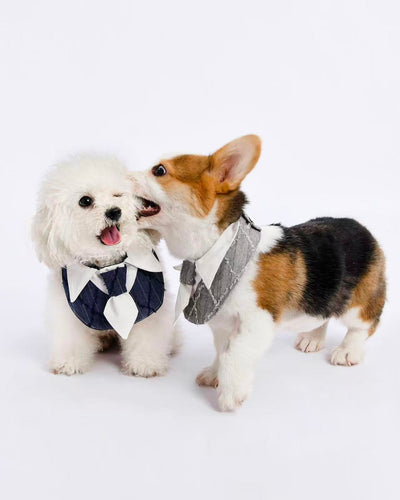 Dapper Pup Tie Bib – product photo 13, kawaii pet apparel by kuwoof