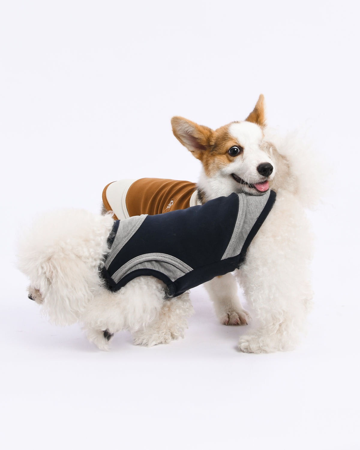 Doustyle Pet Vest – product photo 14, kawaii pet apparel by kuwoof