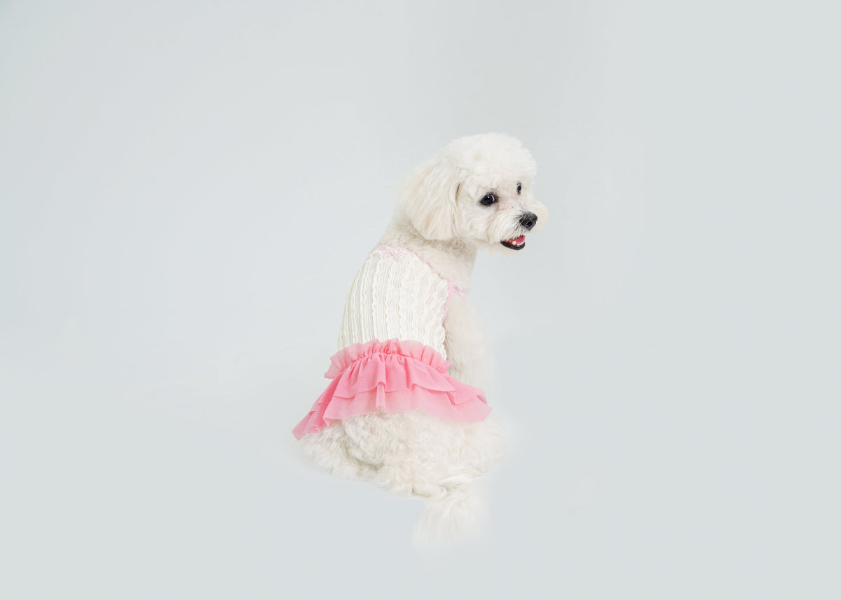 Dream Ballet dog dress – product photo 2, kawaii pet apparel by kuwoof