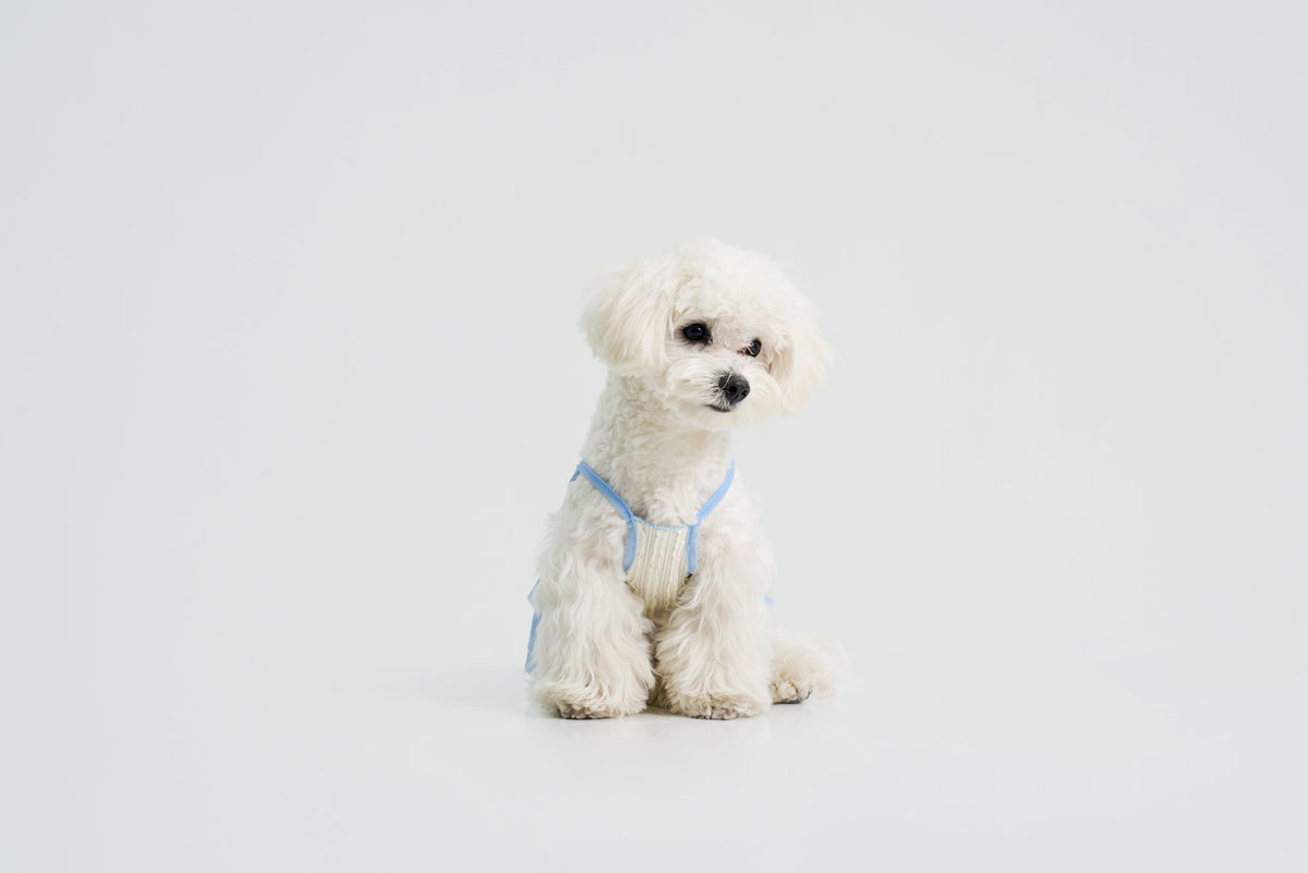 Dream Ballet dog dress – product photo 9, kawaii pet apparel by kuwoof
