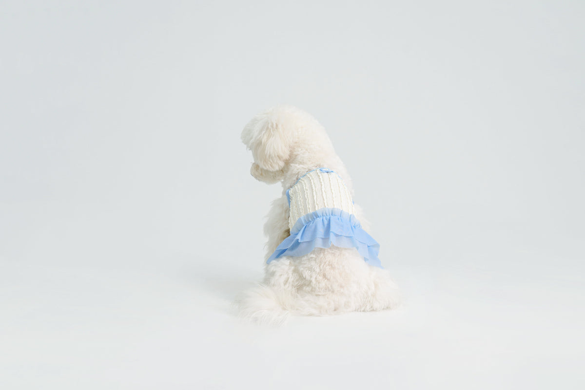 Dream Ballet dog dress – product photo 10, kawaii pet apparel by kuwoof