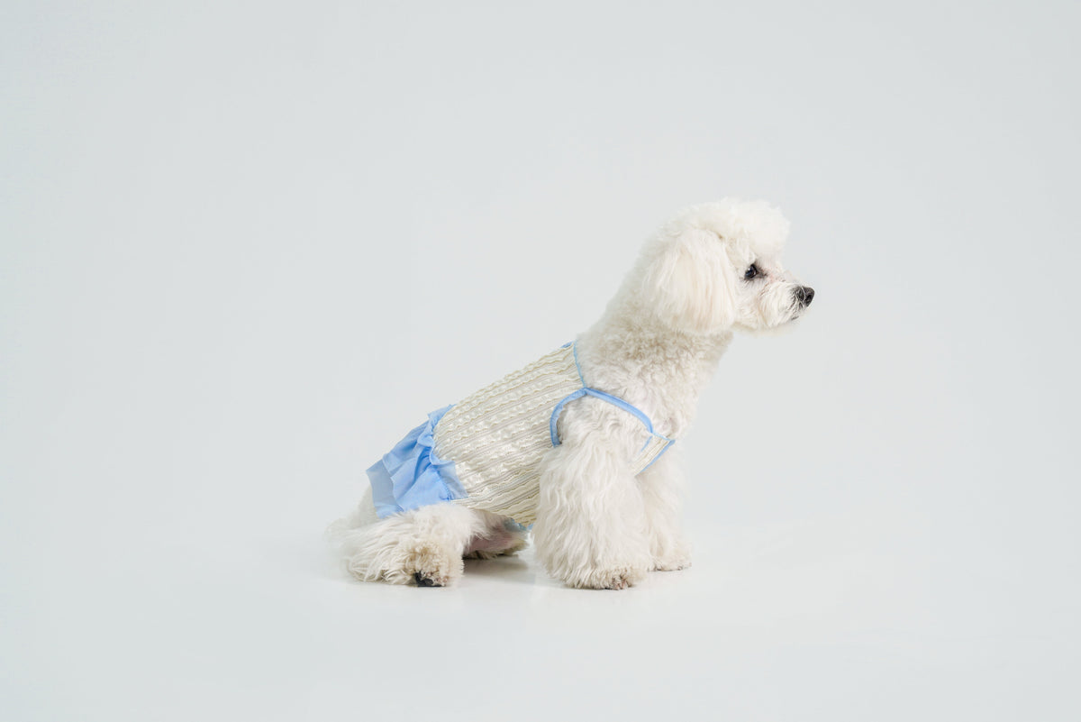 Dream Ballet dog dress – product photo 11, kawaii pet apparel by kuwoof