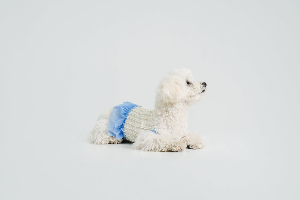 Dream Ballet dog dress – product photo 12, kawaii pet apparel by kuwoof