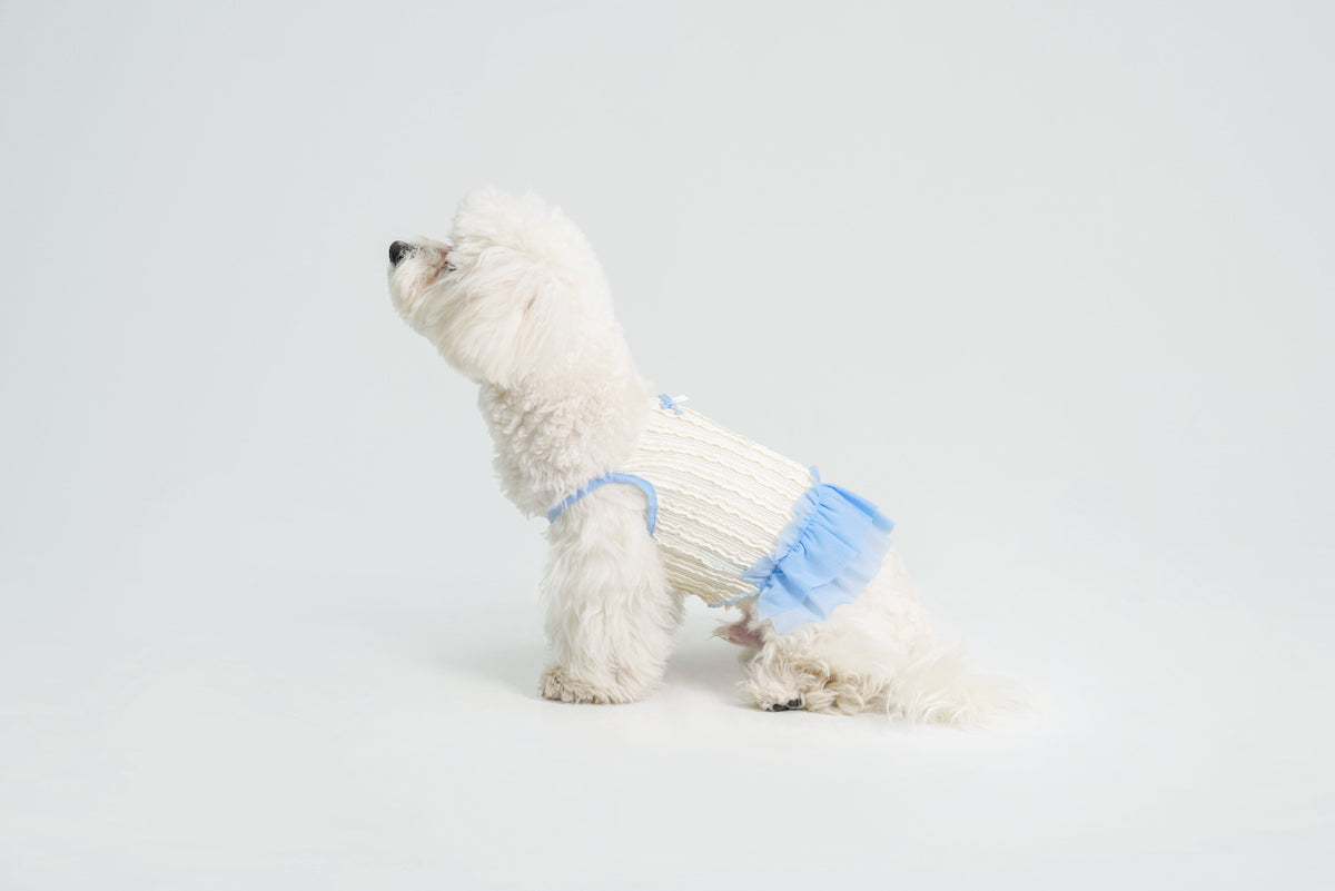 Dream Ballet dog dress – product photo 14, kawaii pet apparel by kuwoof