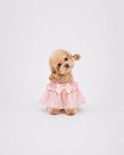 Glazed Summer dog dress – product photo 2, kawaii pet apparel by kuwoof