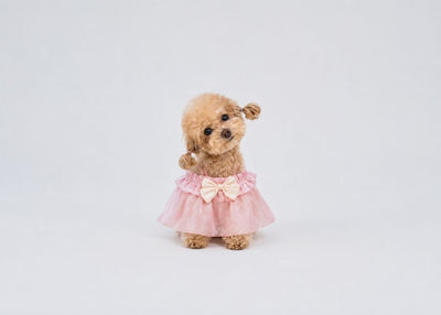 Glazed Summer dog dress – product photo 4, kawaii pet apparel by kuwoof