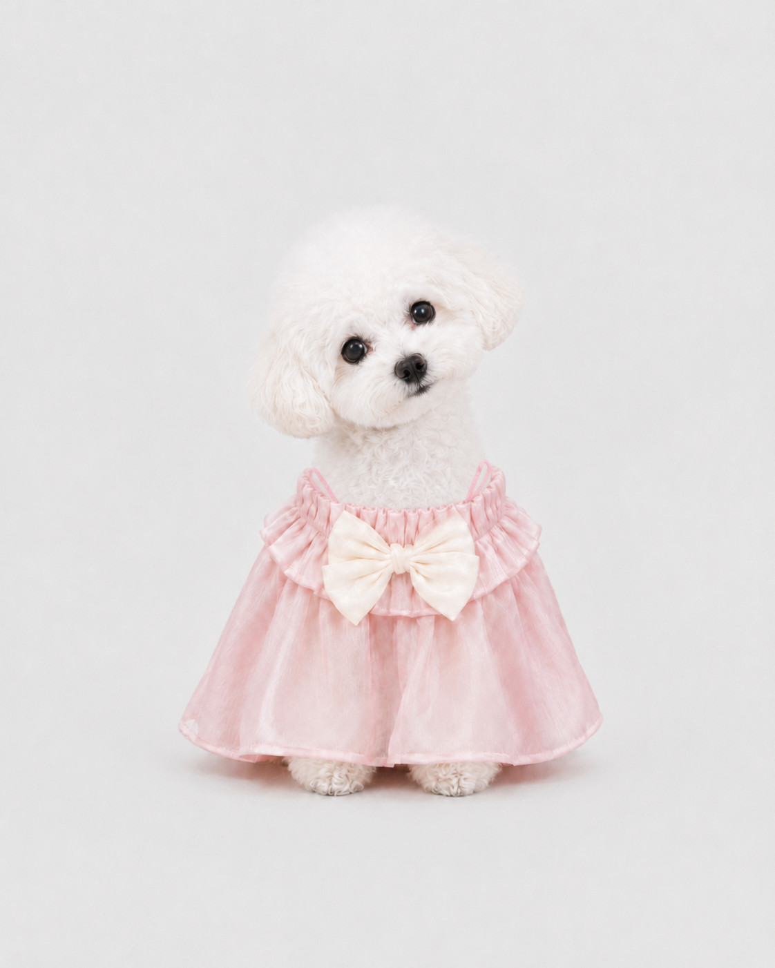 Glazed Summer dog dress – product photo 5, kawaii pet apparel by kuwoof
