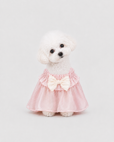 Glazed Summer dog dress – product photo 5, kawaii pet apparel by kuwoof