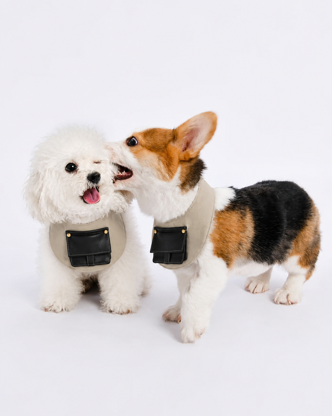 Little Explorer Pocket Dog Bib – front view, kawaii pet apparel by kuwoof
