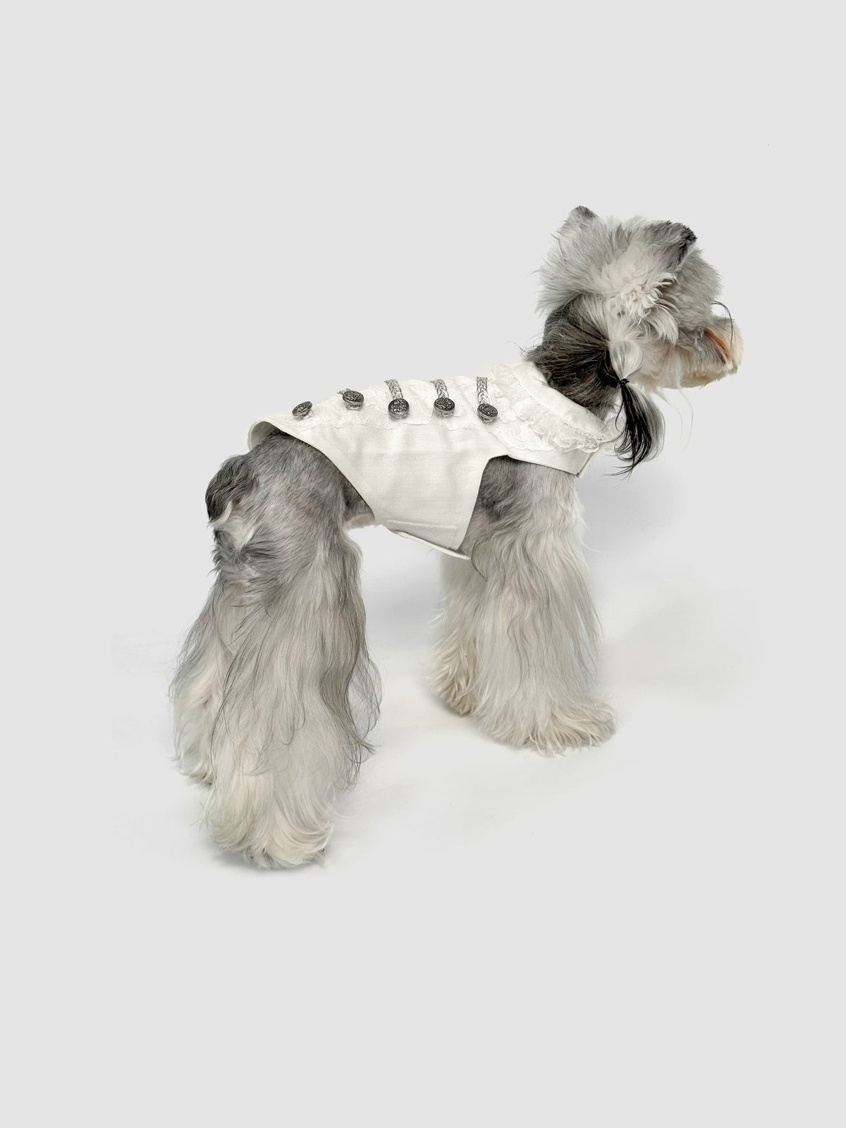 Lorraine dog dress – product photo 5, kawaii pet apparel by kuwoof