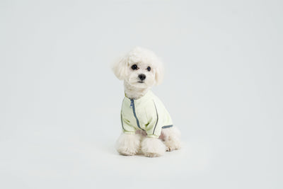 Metroid dog coat – product photo 11, kawaii pet apparel by kuwoof