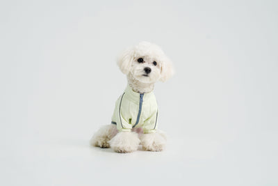 Metroid dog coat – product photo 13, kawaii pet apparel by kuwoof