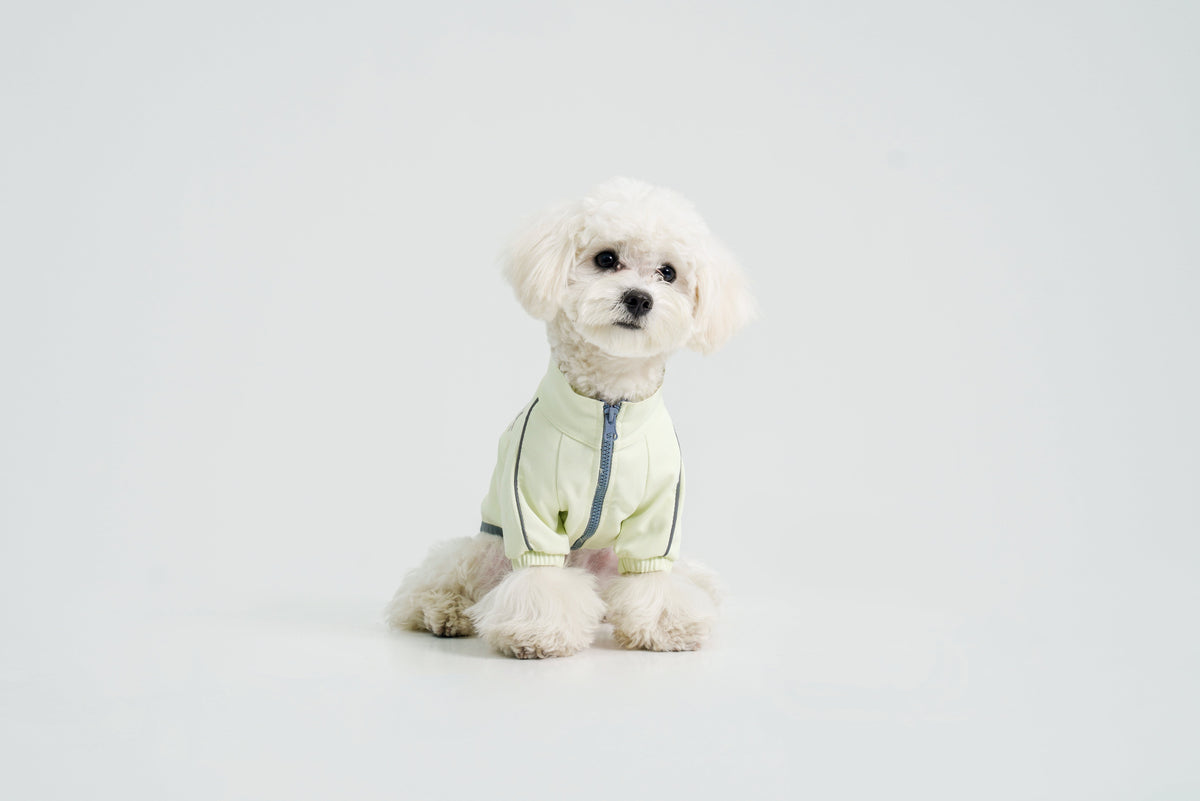 Metroid dog coat – product photo 13, kawaii pet apparel by kuwoof