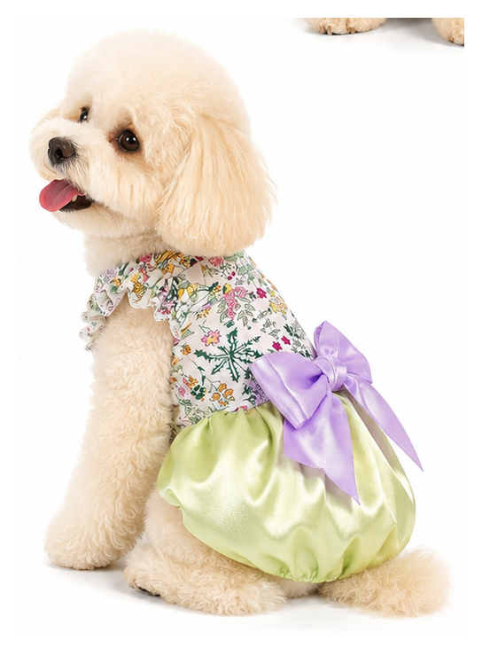 Monet Pumpkin dog dress – product photo 5, kawaii pet apparel by kuwoof