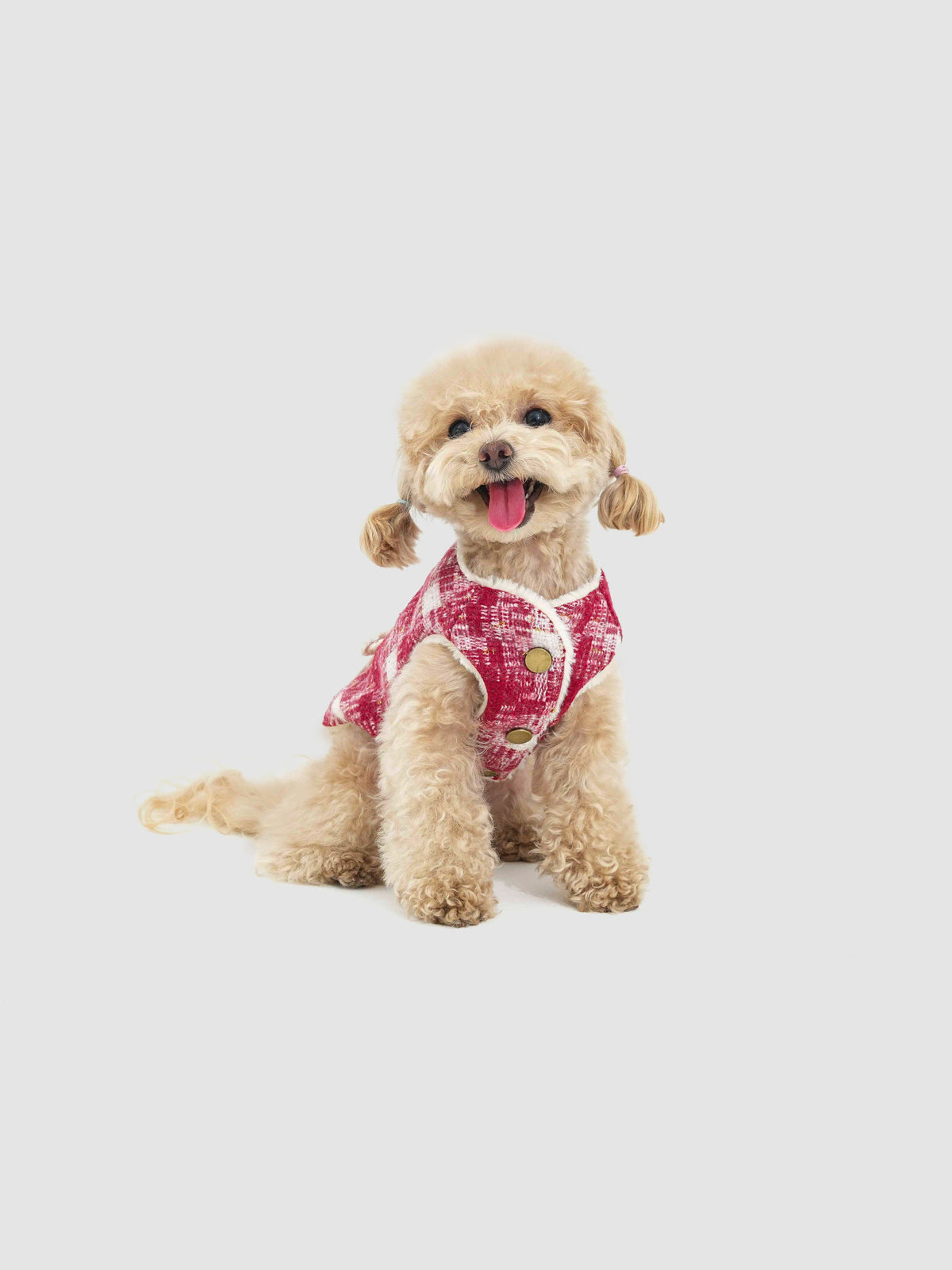 New Day Bow dog coat – front view, kawaii pet apparel by kuwoof