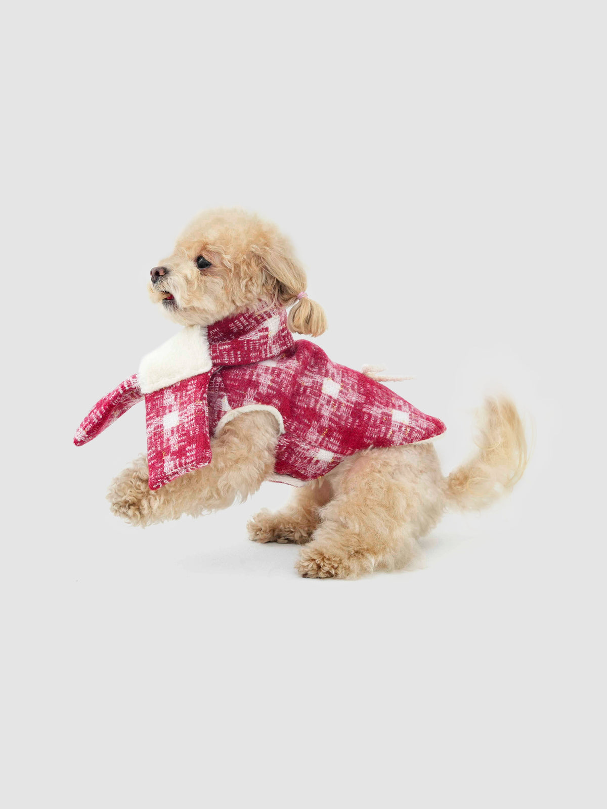 New Day Bow dog coat – product photo 3, kawaii pet apparel by kuwoof