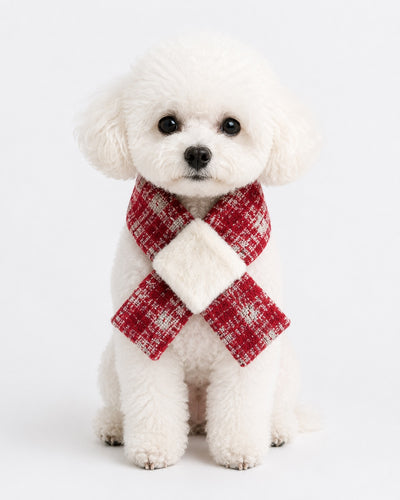 New Day Bow Scarf for dogs – front view, kawaii pet apparel by kuwoof