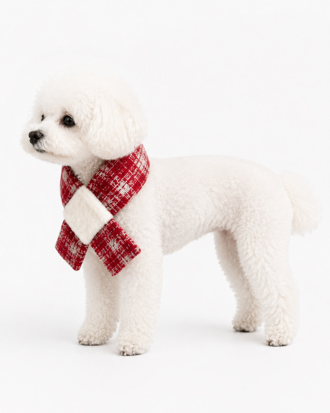 New Day Bow Scarf for dogs – product photo 3, kawaii pet apparel by kuwoof