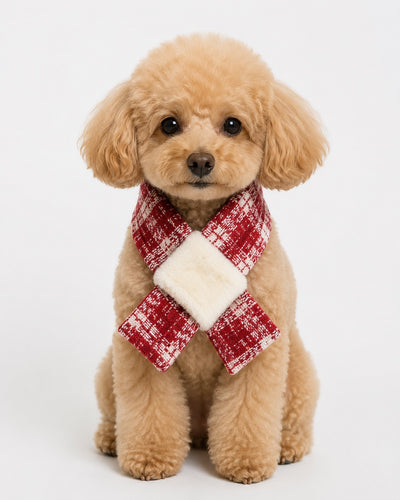 New Day Bow Scarf for dogs – product photo 5, kawaii pet apparel by kuwoof