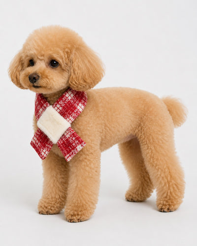New Day Bow Scarf for dogs – product photo 7, kawaii pet apparel by kuwoof