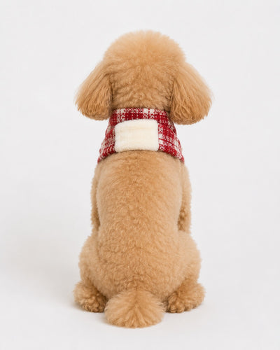 New Day Bow Scarf for dogs – product photo 8, kawaii pet apparel by kuwoof