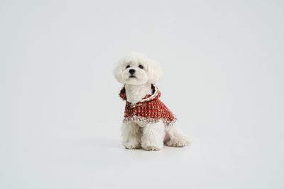 New Year's Christmas Cape for dogs – front view, kawaii pet apparel by kuwoof