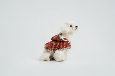 New Year's Christmas Cape for dogs – product photo 2, kawaii pet apparel by kuwoof