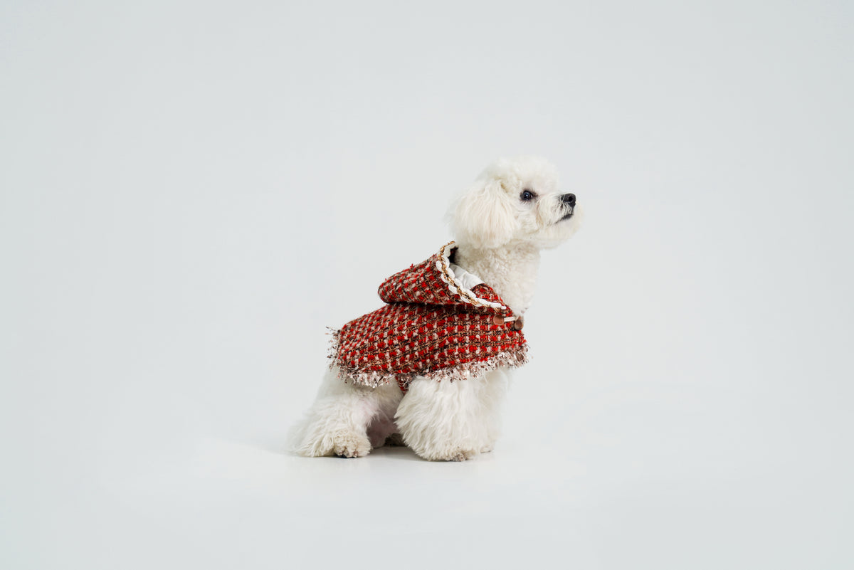 New Year's Christmas Cape for dogs – product photo 2, kawaii pet apparel by kuwoof