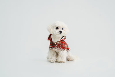 New Year's Christmas Cape for dogs – product photo 3, kawaii pet apparel by kuwoof