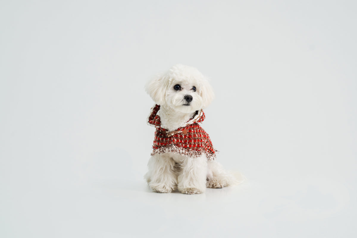 New Year's Christmas Cape for dogs – product photo 3, kawaii pet apparel by kuwoof