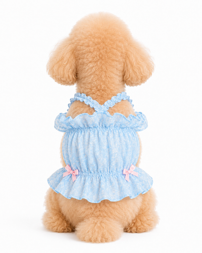Ocean Bubblegum dog dress – product photo 3, kawaii pet apparel by kuwoof
