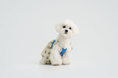 Pasture Blues dog dress – front view, kawaii pet apparel by kuwoof