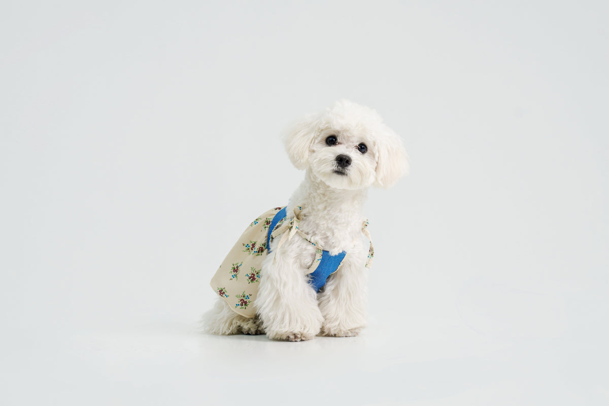 Pasture Blues dog dress – front view, kawaii pet apparel by kuwoof