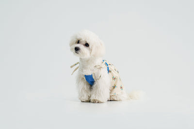 Pasture Blues dog dress – product photo 3, kawaii pet apparel by kuwoof