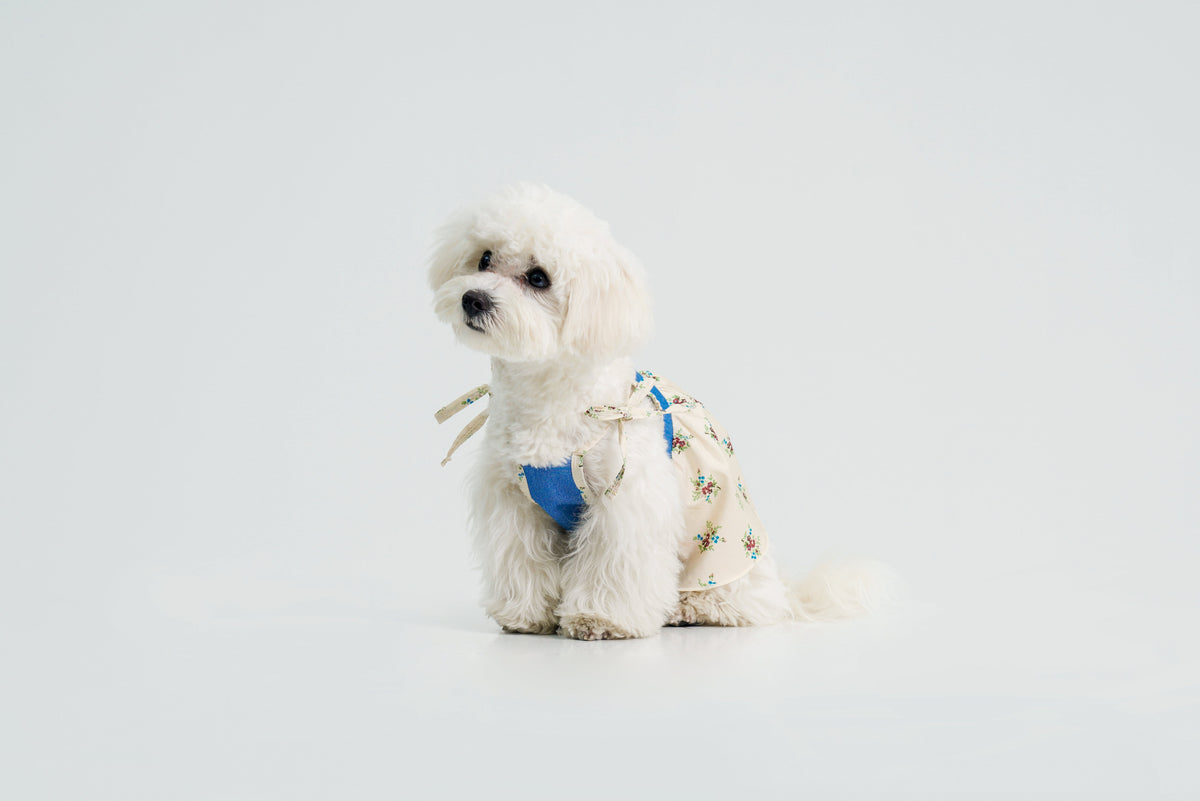 Pasture Blues dog dress – product photo 3, kawaii pet apparel by kuwoof
