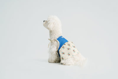 Pasture Blues dog dress – product photo 6, kawaii pet apparel by kuwoof