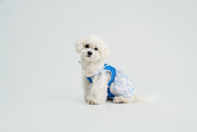 Pasture Blues dog dress – product photo 9, kawaii pet apparel by kuwoof